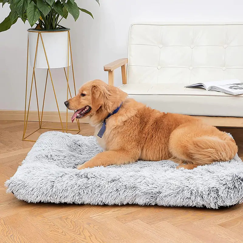 Cama de felpa lavable para mascota