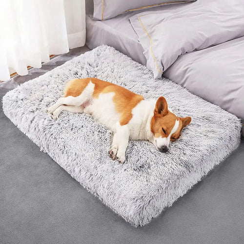 Cama de felpa lavable para mascota